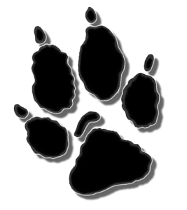 graphic of a wolf paw print