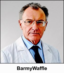 A watercolour painting of a 60 year old man with receding grey hair and frameless glasses. He is wearing a white lab coat over a light blue shirt, and has a dark navy tie. He looks like the archetypal scientist. He has a serious look on his face and he likes to point out “My name’s Emmett. But everybody calls me Barmy! Barmy as in proper noun, not as in adjective! Though some might disagree!” - The image is labelled BarmyWaffle.