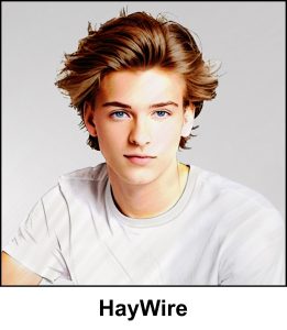 A watercolour painting of an 18 year old young man - he has fly away blonde hair and blue eyes - in this relaxed pose he has a thoughtful and neutral expression - he is wearing a white T shirt - the image is labelled HayWire