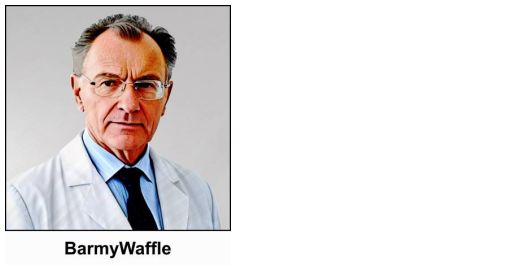 A watercolour painting of a 60 year old man with receding grey hair and frameless glasses. He is wearing a white lab coat over a light blue shirt, and has a dark navy tie. He looks like the archetypal scientist. He has a serious look on his face and he likes to point out “My name’s Emmett. But everybody calls me Barmy! Barmy as in proper noun, not as in adjective! Though some might disagree!” - The image is labelled BarmyWaffle.
